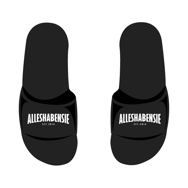 ALLESHABENSIE 2.0 - Slides